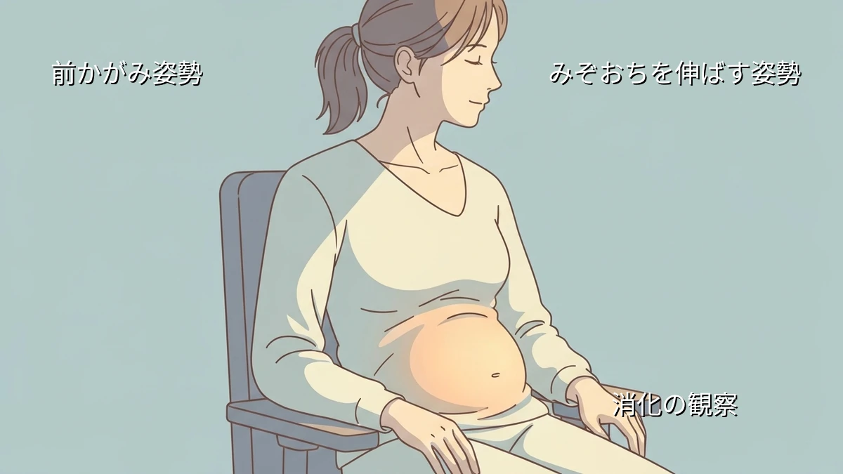 デスクワークで胃が重い人が自宅で試す食後姿勢と消化のセルフ観察法
