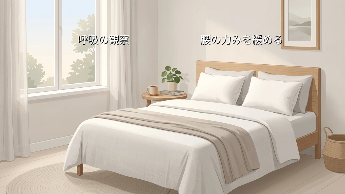 朝起き上がるときに腰が重い人が布団の中で試す呼吸と腰の力みのセルフ観察法