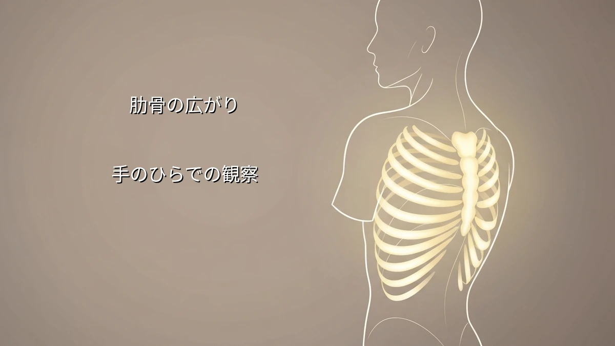 デスクワークで呼吸が浅いと感じる人が自宅でできる肋骨の動きのセルフ観察法